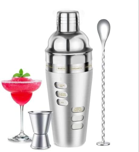 Stainless steel martini shaker with recipes