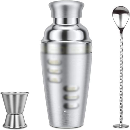 Seventeen piece stainless bar home shaker