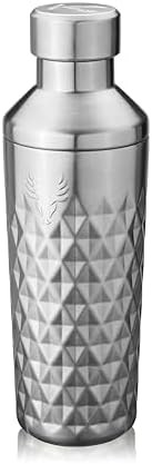 Paragon platinum double walled insulated shaker